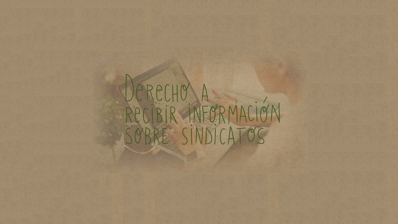 Cápsula 4