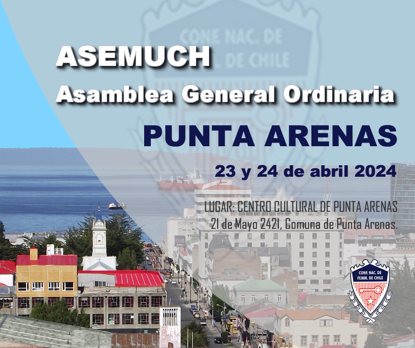 COMUNICADO N°21 ACUERDOS ASAMBLEA 24-04-2024 PUNTA ARENAS