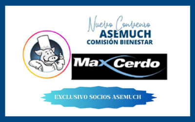 Max Cerdo