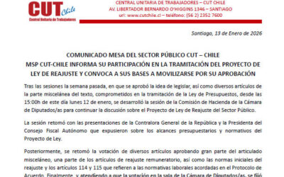 Comunicado Público Mesa Sector Público 13-01-2026