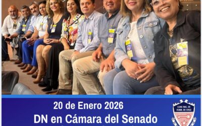 Ley de  reajuste del sector público: avances y retrocesos para el mundo municipal